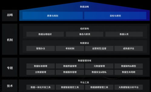 洞見未來，駕馭數據 國內優秀數據治理服務商及軟件開發指南