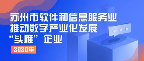 申報(bào)2020年蘇州市軟件和信息服務(wù)業(yè)推動(dòng)數(shù)字產(chǎn)業(yè)化發(fā)展“頭雁”企業(yè)——網(wǎng)絡(luò)技術(shù)服務(wù)